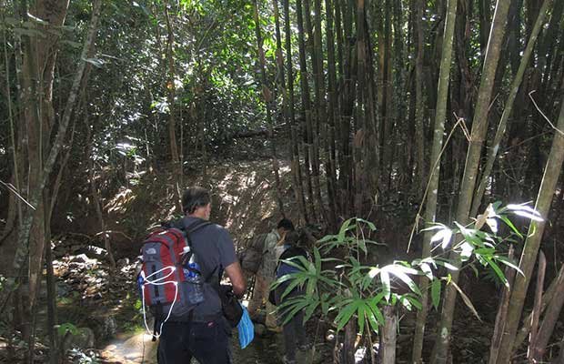 Cambodia Best Trekking Tour with Mekong River 15 Days